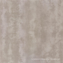 Carrelage rustique gris clair pour mur et plancher